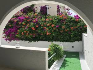 Sailor's Nautical Concept Hotel11